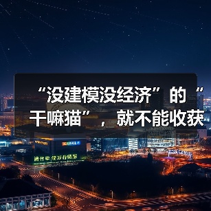 “没建模没经济”的“干嘛猫”，就不能收获属于自己的幸福吗？