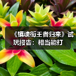 《镇魂街王者归来》试玩报告:相当能打(图3) 《镇魂街王者归来》试玩报告:相当能打(图3)