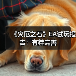 《灾厄之石》EA试玩报告：有待完善（图2）
