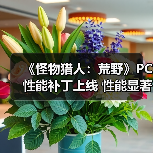《怪物猎人：荒野》PC性能补丁上线 性能显著提升（图4）