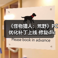 《怪物猎人：荒野》PC优化补丁上线 修复dlc检测BUG