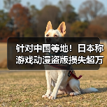 针对中国等地！日本称游戏动漫盗版损失超万亿需打击（图3）