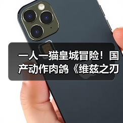 一人一猫皇城冒险！国产动作肉鸽《维兹之刃》今日开启Playtest（图2）