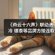 《燕云十六声》联动遇冷 银泰等品牌方接连取消合作（图4）