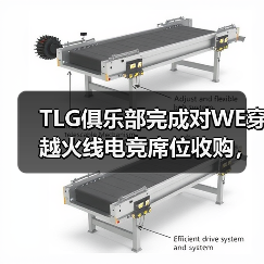 TLG俱乐部完成对WE穿越火线电竞席位收购，正式进军CF电竞（图3）