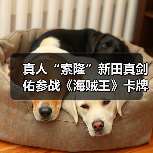 真人“索隆”新田真剑佑参战《海贼王》卡牌赛夺8强（图3）