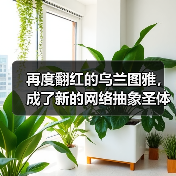 再度翻红的乌兰图雅，成了新的网络抽象圣体