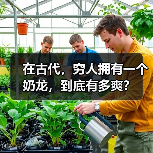 在古代，穷人拥有一个奶龙，到底有多爽？（图4）