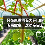 只在直播间看大开门的听泉赏宝，居然亲自去探墓摸金了？（图4）