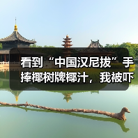 看到“中国汉尼拔”手捧椰树牌椰汁，我被吓得做了噩梦（图3）