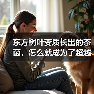 东方树叶变质长出的茶菌，怎么就成为了超越哈基米的宠物界顶流？