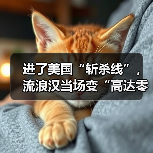 进了美国“斩杀线”,流浪汉当场变“高达零件”?(图4) 进了美国“斩杀线”,流浪汉当场变“高达零件”?(图4)