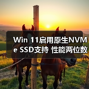 Win 11启用原生NVMe SSD支持 性能两位数提升（图3）