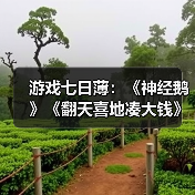 游戏七日薄：《神经鹅》《翻天喜地凑大钱》领衔！