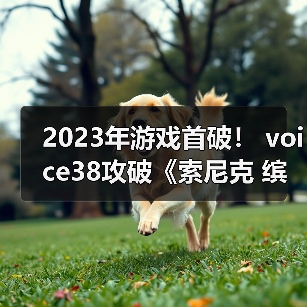 2023年游戏首破！ voice38攻破《索尼克 缤纷色彩 究极版》D加密（图4）
