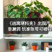 《逃离塔科夫》出现严重漏洞 玩家账号可被轻易入侵