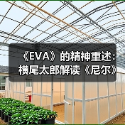 《EVA》的精神重述：横尾太郎解读《尼尔》的故事内核（图4）