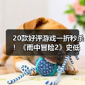 20款好评游戏一折秒杀！《雨中冒险2》史低仅19.9元（图3）