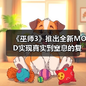 《巫师3》推出全新MOD实现真实到窒息的复杂雨景渲染（图4）