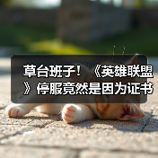 草台班子！《英雄联盟》停服竟然是因为证书到期了？（图4）
