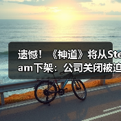 遗憾！《神道》将从Steam下架：公司关闭被迫停运！（图2）