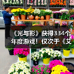 《光与影》获得334个年度游戏！仅次于《艾尔登法环》（图3）