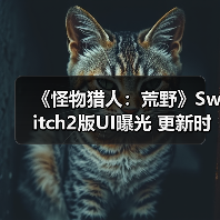 《怪物猎人：荒野》Switch2版UI曝光 更新时间引猜测（图2）