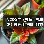 NCSOFT《天堂：经典版》开放预下载！2月7日免费体验（图2）